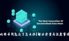 比特币钱包忘了怎么办？解决方案与注意事项