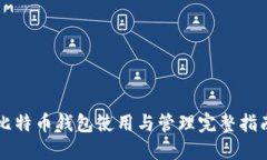 比特币钱包使用与管理完整指南