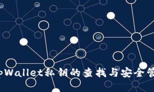  tpWallet私钥的查找与安全管理