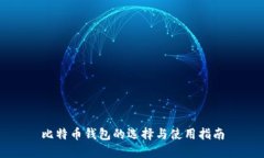 比特币钱包的选择与使用指南