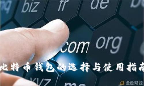 比特币钱包的选择与使用指南