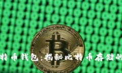 最大的比特币钱包：揭秘比特币存储的顶级账户