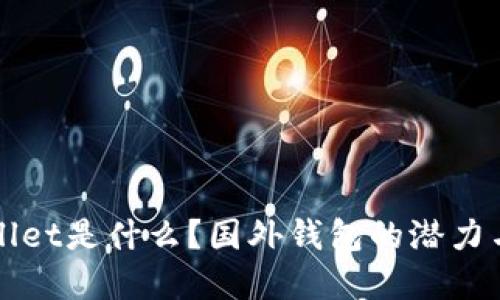 tpWallet是什么？国外钱包的潜力与未来